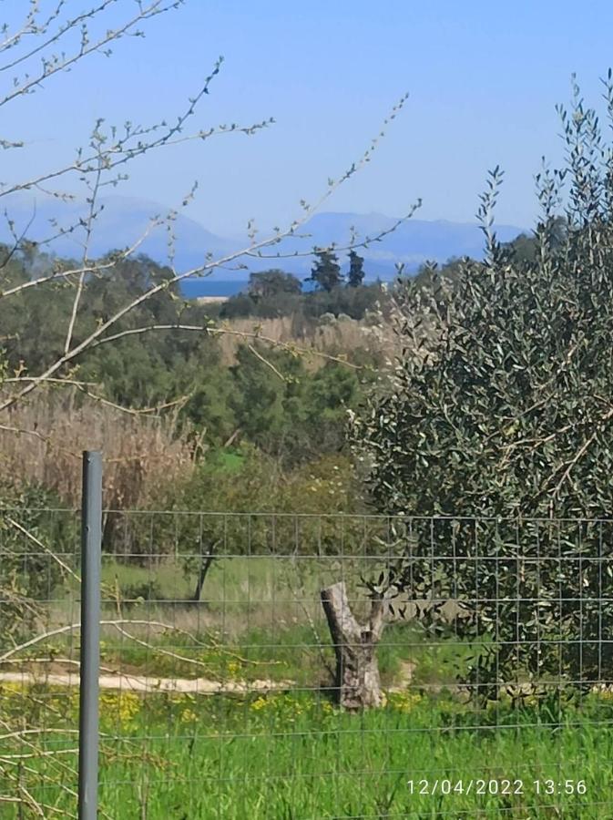 Corfu Oasis Studio Neochorakion Bagian luar foto