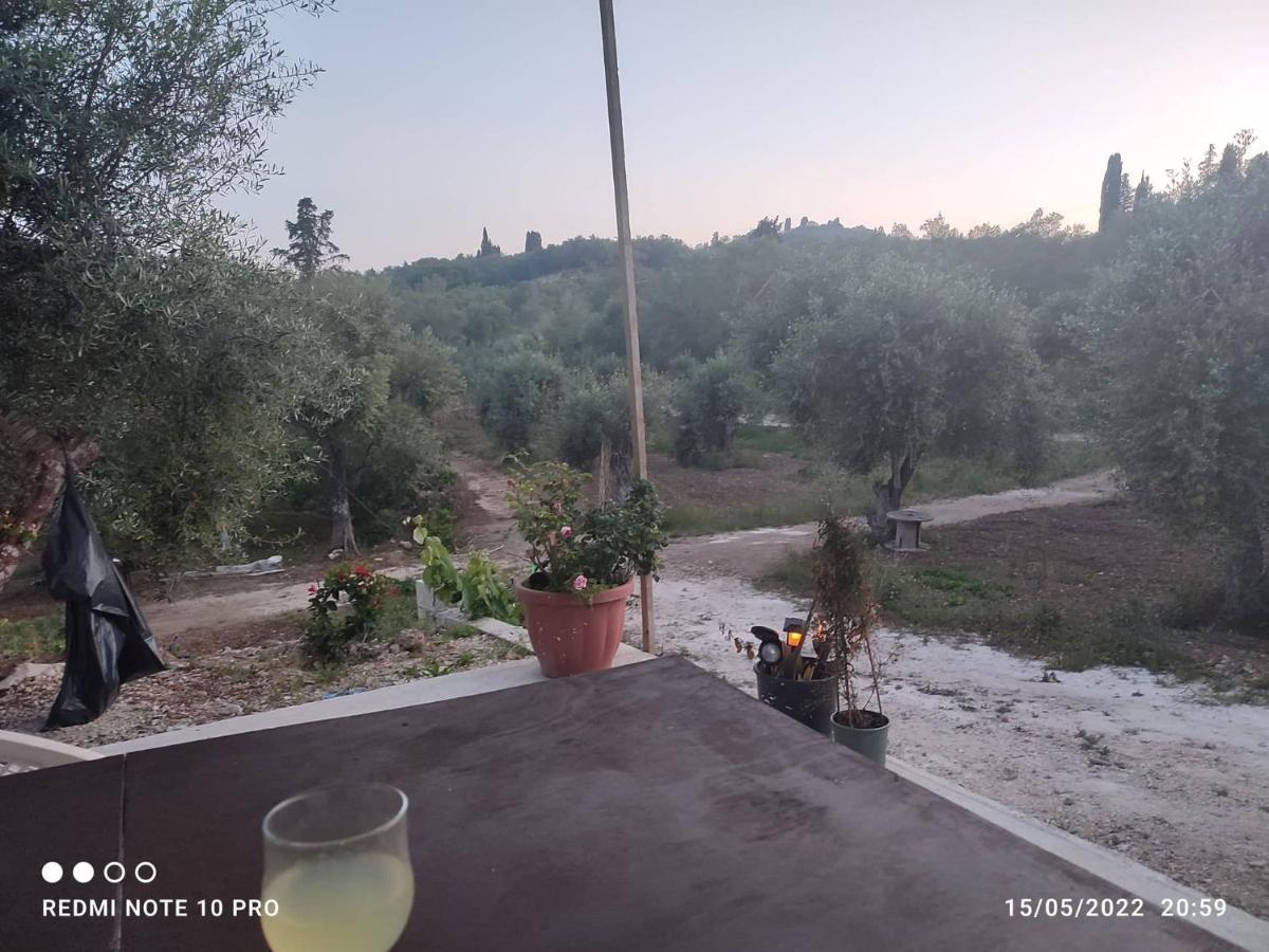Corfu Oasis Studio Neochorakion Bagian luar foto
