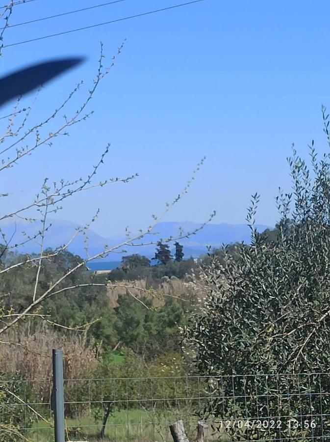 Corfu Oasis Studio Neochorakion Bagian luar foto