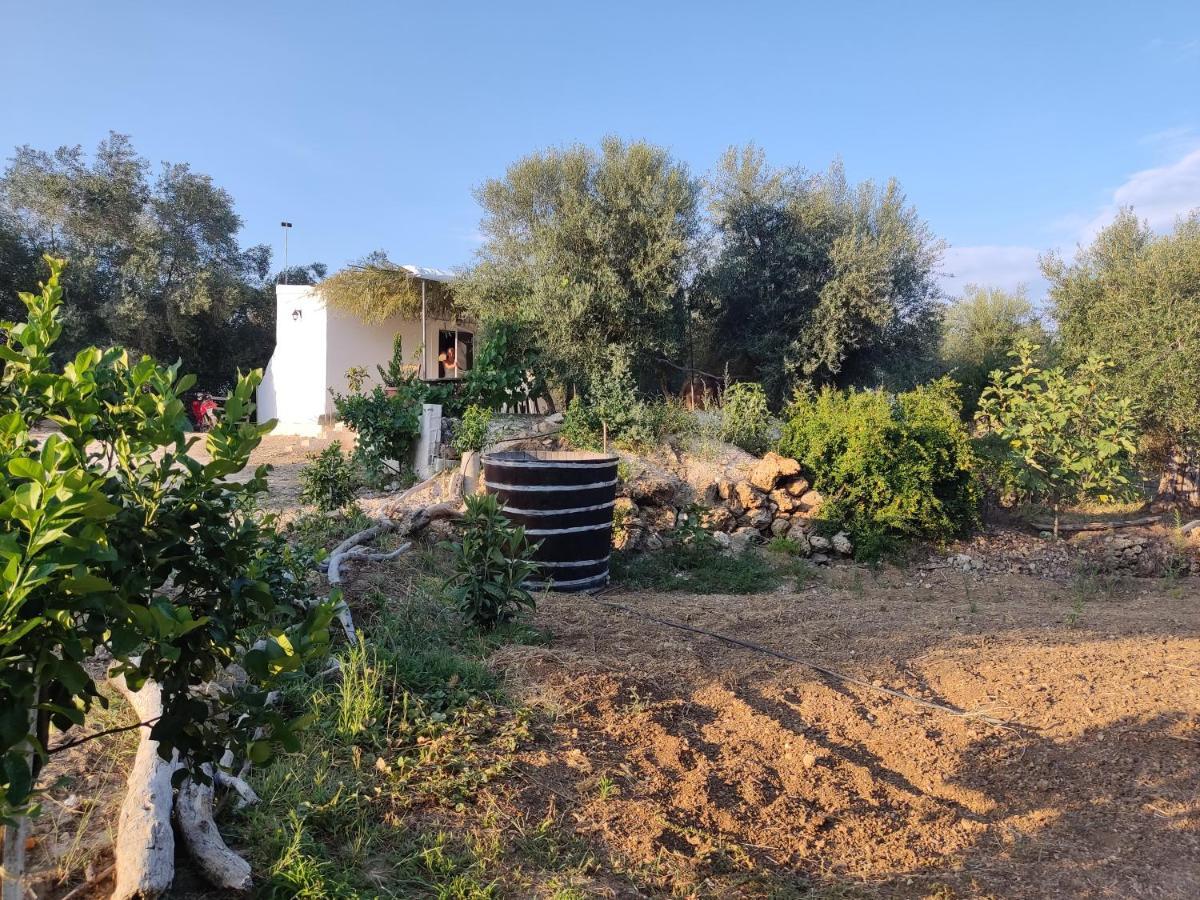 Corfu Oasis Studio Neochorakion Bagian luar foto